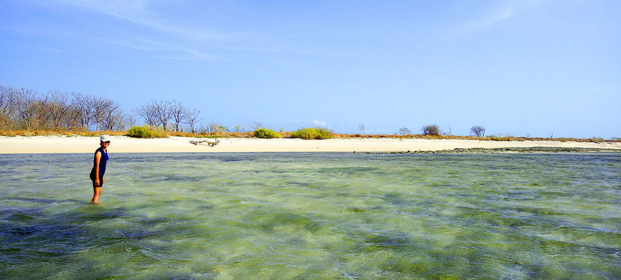 Gili Bidari