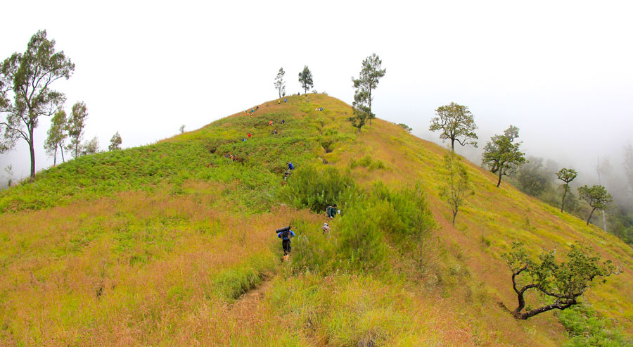 Another challenging trail you need to get through is here. People name it “The seven hills of regret” means that you’ll be too late to feel regret since you have gone that far and it felt like never ending. You have no choice but keep moving forward. Seriously. There are around seven hills which ascents brutally. Each hill promises you a fake hope of the top. It is pretty much identical but may be sevenfold in distance. You did not count the hills exactly. but it’s kind of many. No worries, you’ll be entertained by the natural charms all the way up the hills. The only obstacle is that you’ll too tired to get your camera ready (DSLR for instance). Truly challenge.