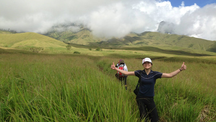 The Grass Tall savanna Sembalun Lawang altitude 1500m mount Rinjani