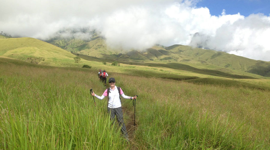 The savanna grass tall at Sembalun Lawang altitude 1500m of Mount Rinjani