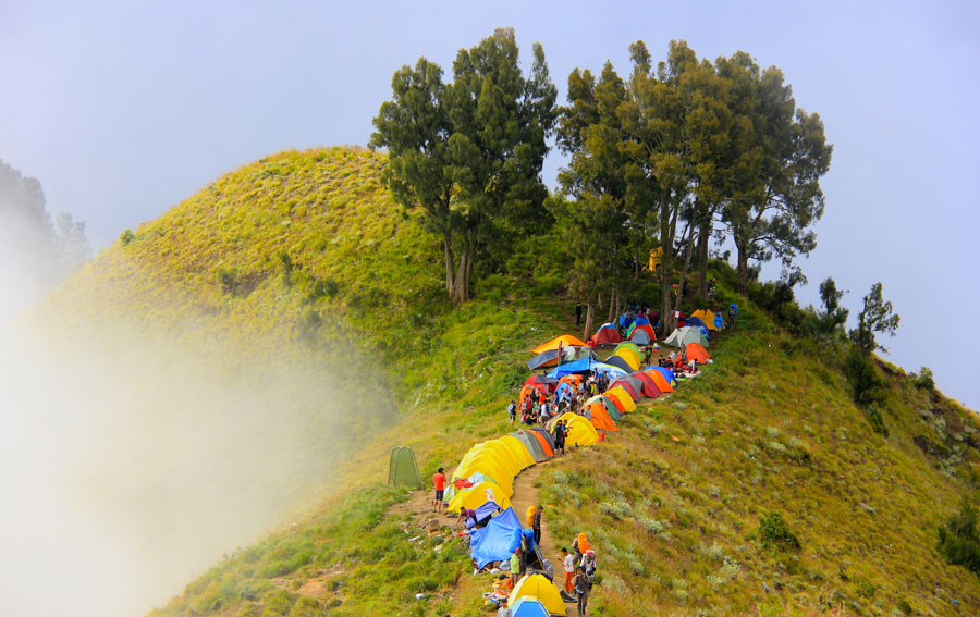 Kawah Plawangan Sembalun ketinggian 2639 m dpl Taman Nasional Gunung Rinjani